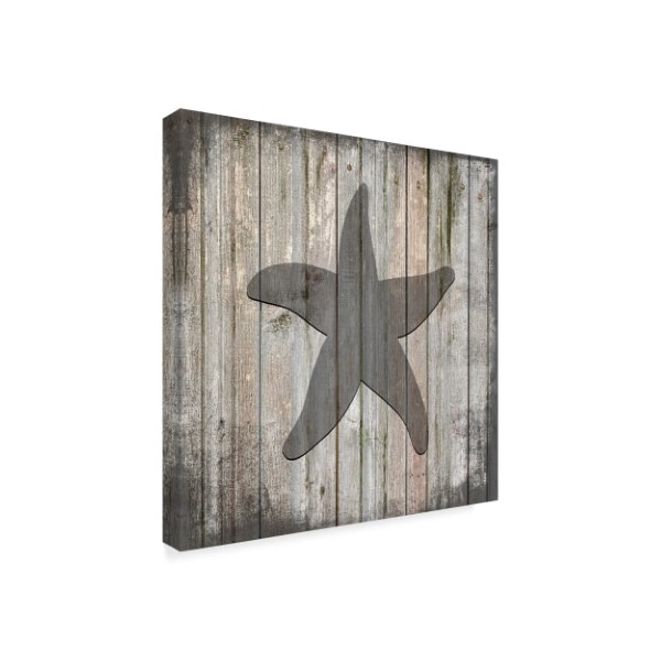 Lightboxjournal 'Country Sea Star' Canvas Art,14x14